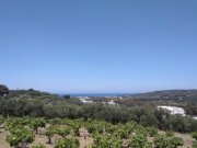 Polemarchi Kreta, Polemarchi: Grundstück in schöner Landschaft mit Meerblick zu verkaufen Grundstück kaufen